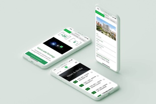 Web Design: Hong Kong And Shanghai Land Capital (HSL)
